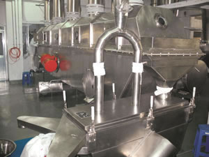 Chicken Seasoning Granulating Drying Machine